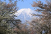 山中湖・忍野