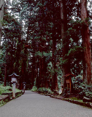 医王寺写真