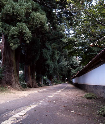 医王寺写真