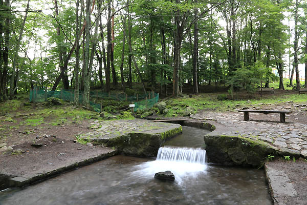 三分一湧水