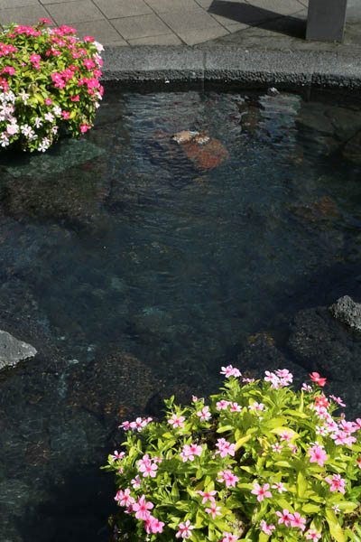 大滝神社湧水